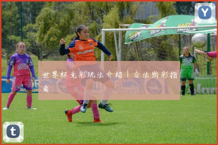 世界杯竞彩玩法介绍｜合法购彩指南