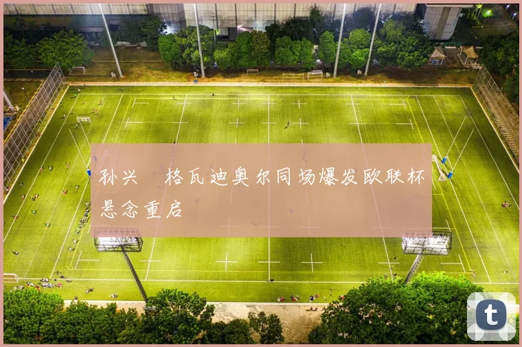 孙兴慜格瓦迪奥尔同场爆发欧联杯悬念重启