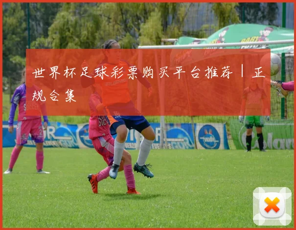 世界杯足球彩票购买平台推荐｜正规合集