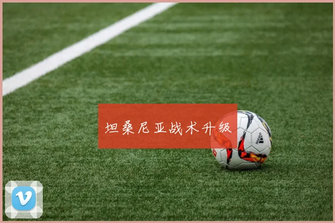 坦桑尼亚战术升级